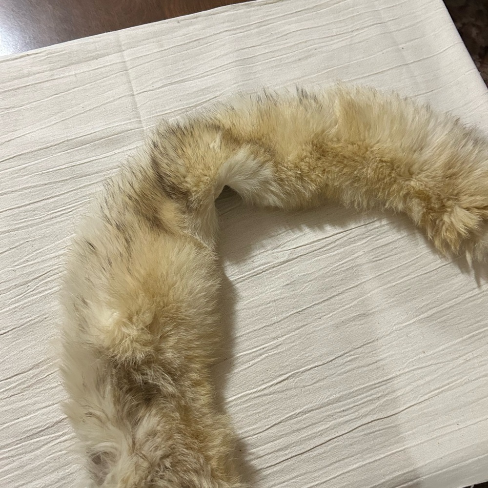 Vintage fur collar - Picture 1 of 3
